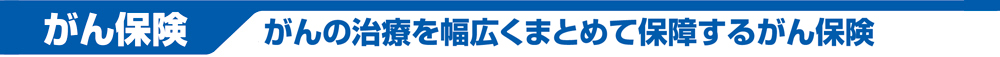 おすすめガン保険